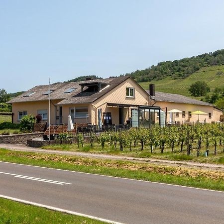 Weingut J. A. Meyer Bed & Breakfast Винтрих Екстериор снимка